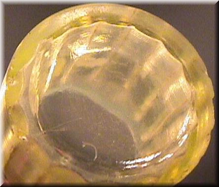 NGALCOTumbler4.jpg