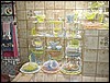 DSC00453.JPG