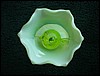 DSC00576.JPG