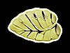 duncan-plater-2-l.jpg