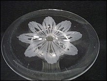Colias.CG.Vase.Footed.12.00.06.jpg
